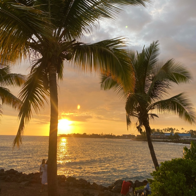 Training Resources for Paddlers